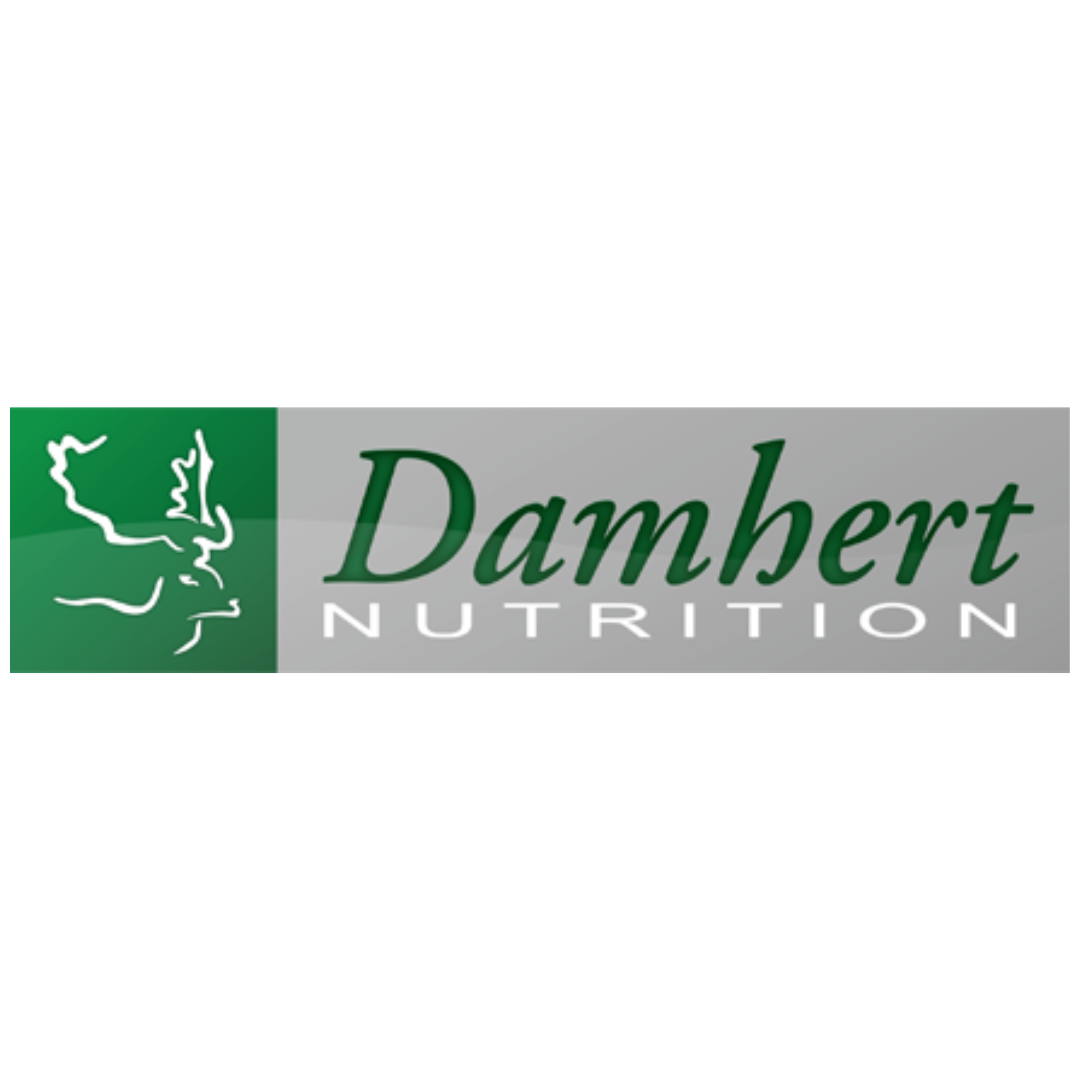 DAMHERT